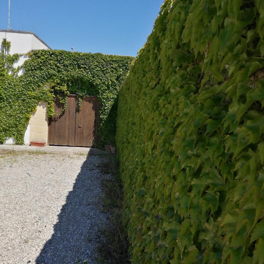 B&B Villasalento Le Кавалино ди Лече Екстериор снимка